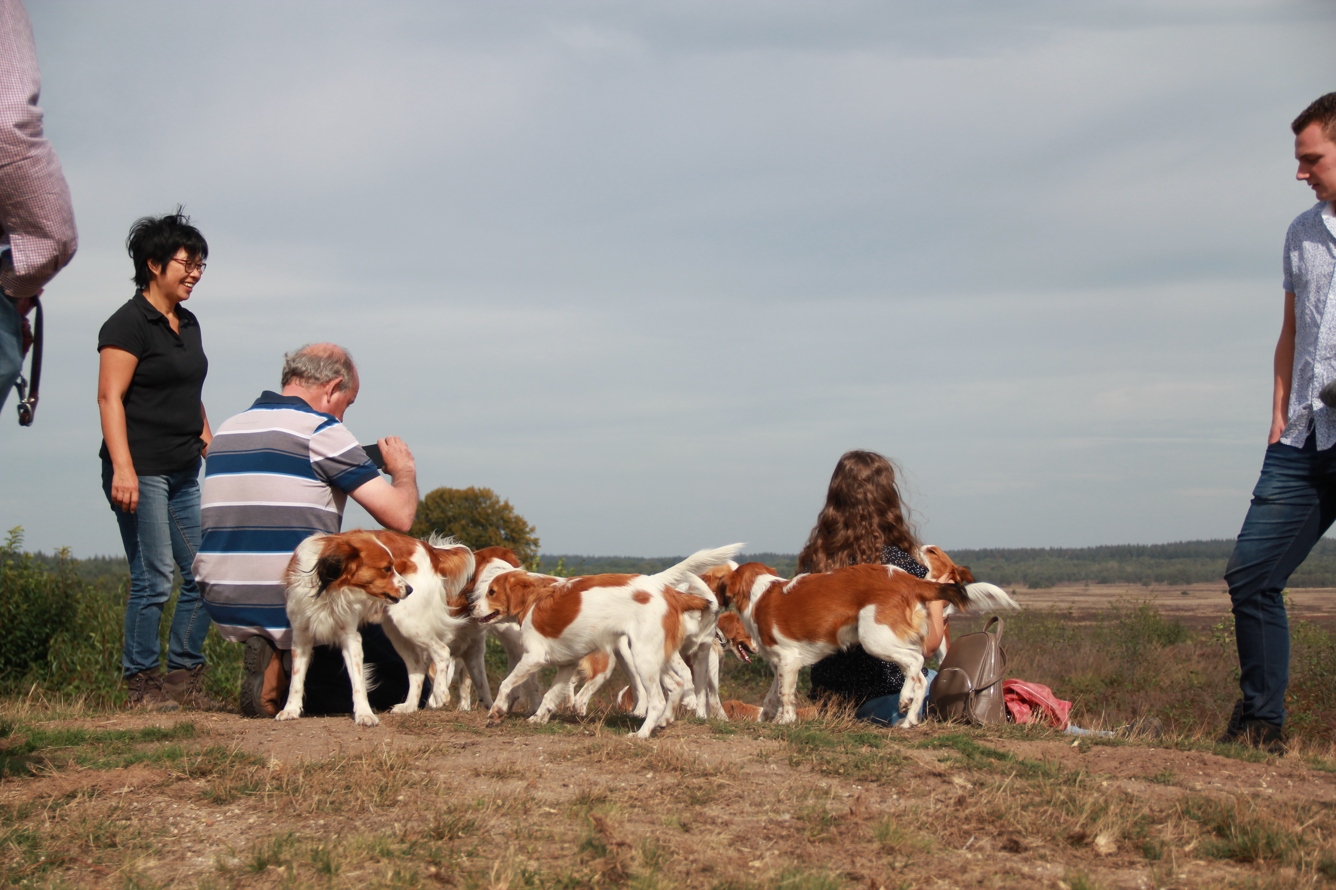 Kooikerwandeling-160918-1