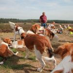 Kooikerwandeling-160918-2