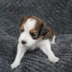 nest2-happy-3weken-3