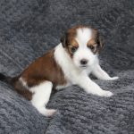 nest2-happy-3weken-4