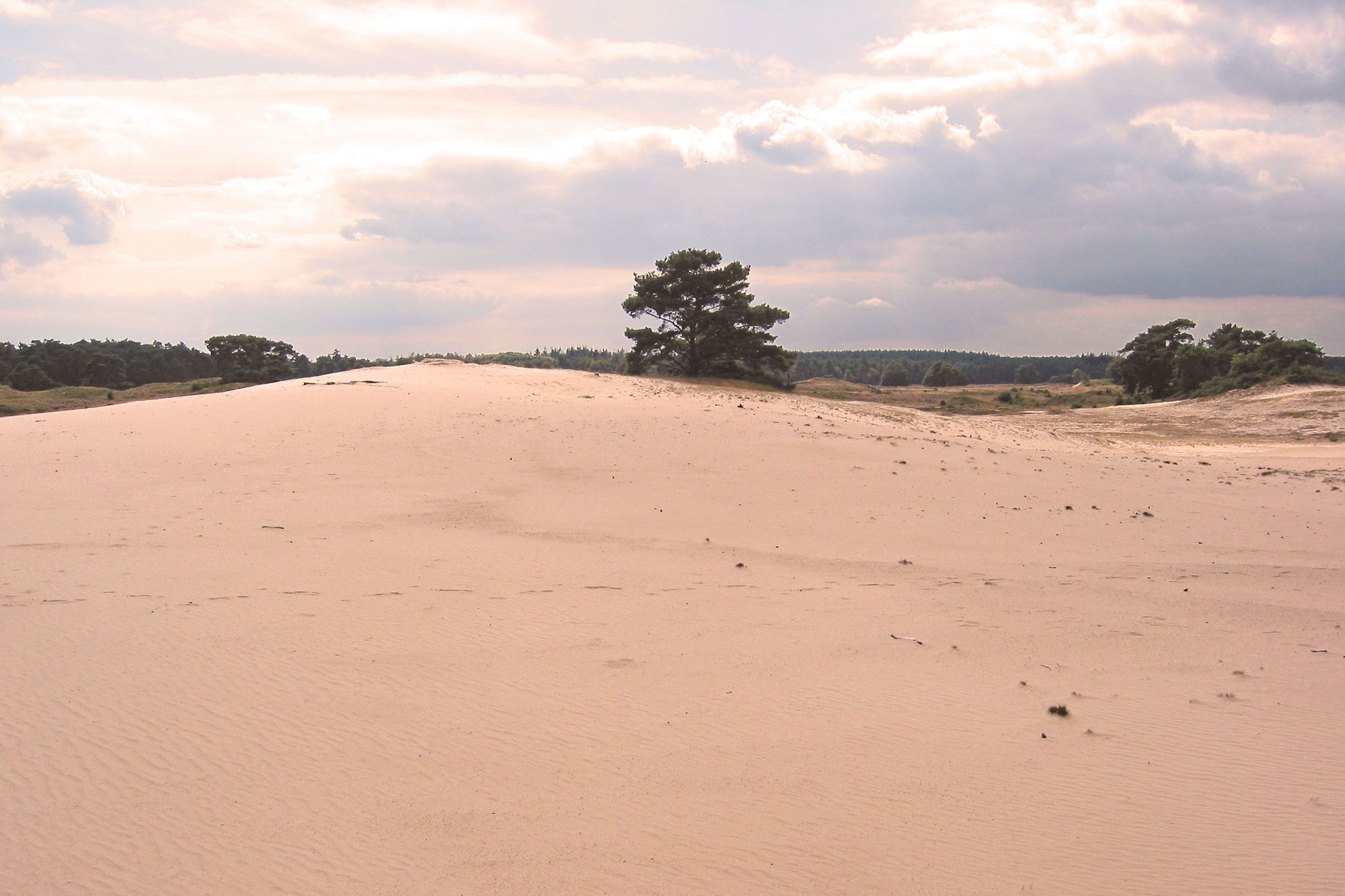 wekeromse_zand