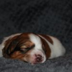 nest3-josje-14dagen-2