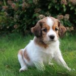 nest3-josje-7weken-2