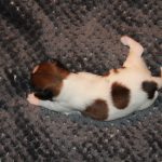 nest3-josje-8dagen-1