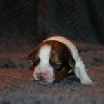 nest3-josje-8dagen-2