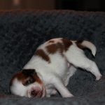 nest3-kaya-14dagen-2