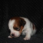 nest3-kaya-21dagen-1