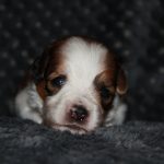 nest3-kaya-21dagen-2