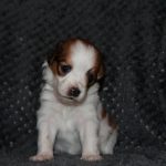 nest3-kaya-28dagen-1