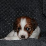 nest3-lana-28dagen-2