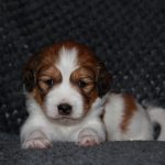 nest3-milo-28dagen-1